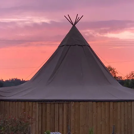 Canadian Fields يورك