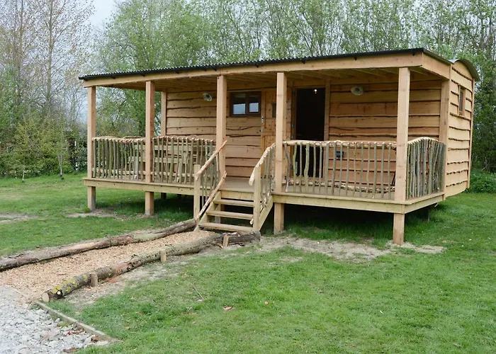 Canadian Fields * يورك