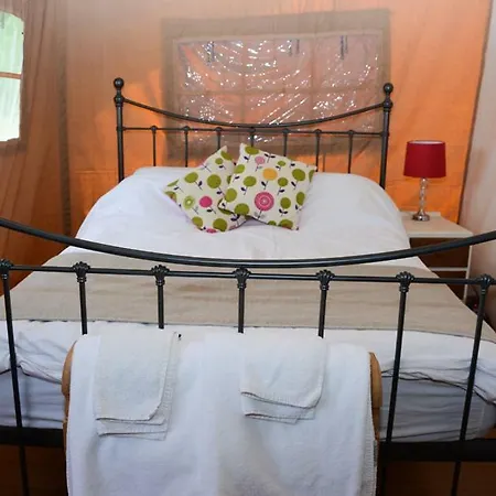 Canadian Fields * 约克