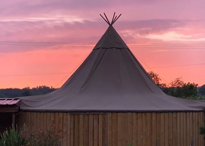 Canadian Fields 约克