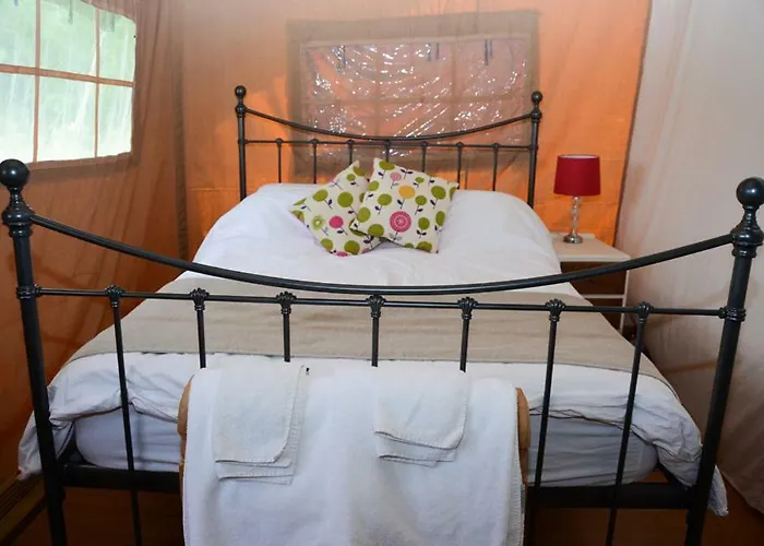 Canadian Fields * 约克